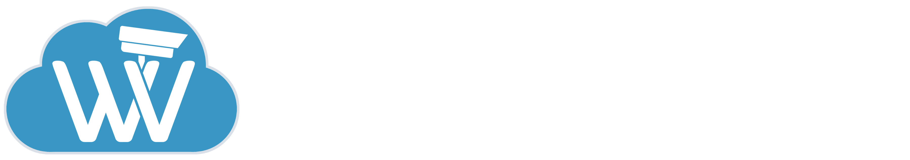 WanVision logo